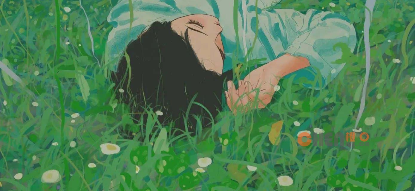 年度总结2013 | CHENME